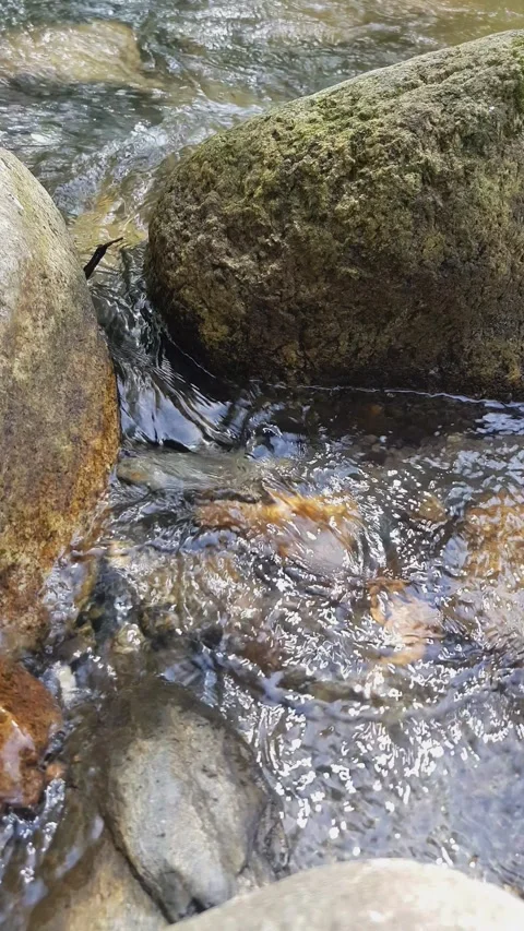 Stream water flowing over rocks Stock-Footage 246037175
