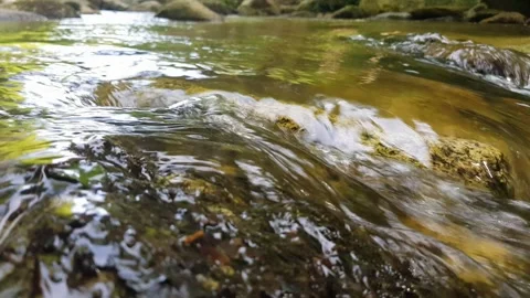Stream water flowing over rocks Video stock 246124322
