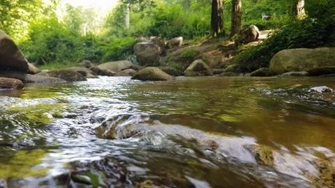 Stream water flowing over rocks Stock Footage 246124603