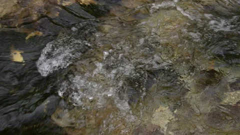 Stream Water Flowing Over Submerged Stones. Stock Footage 276091883