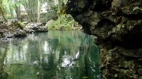A stream of water is flowing through a forest Stock Footage 277928838