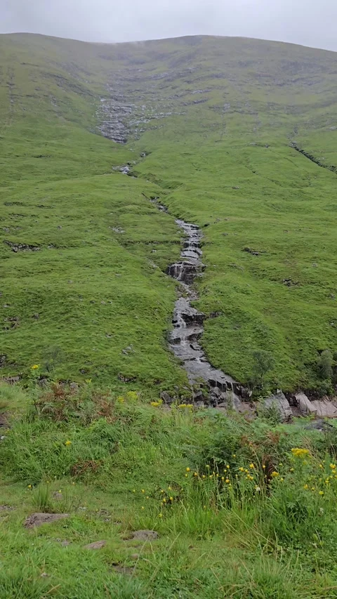 Stream of water flowing through green grass and rocks, Scottish Highlands Stock Footage 334681296