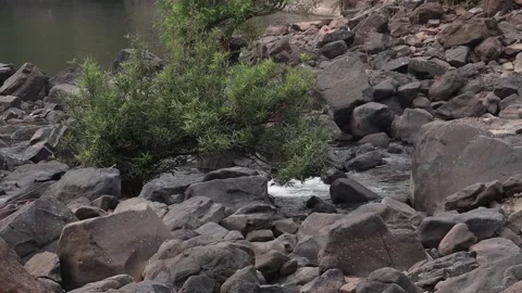 Stream water flowing through the rocks Stock Footage 168344911