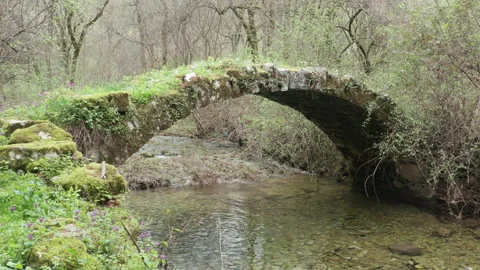 Stream of water flowing under troll bridge from a fairy tale in beautiful park Stock Footage 212385810