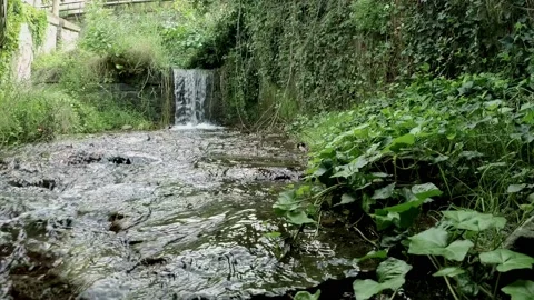 Stream Water Flowing From Waterfall Over the Rocks Stock Footage 140347811