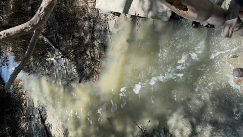 Stream of water flows along a mangrove channel, vertical video. Stock Footage 270463831