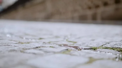 A stream of water flows along the sidewalk. Sunny weather Stock Footage 287341778