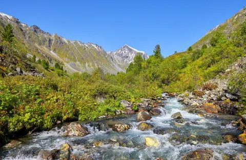 Stream water flows between boulders in mountain tundra Stock-Fotos