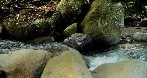 A stream of water flows between large rocks Stock Photos