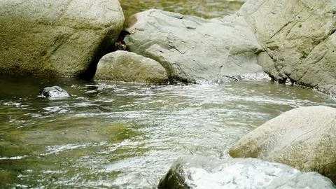 A stream of water flows between large rocks Stock Photos