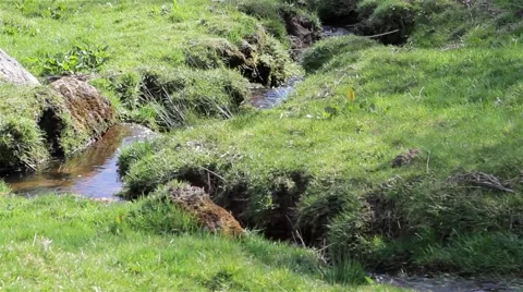 Stream water flows in Countryside Field Close Up Stock-Footage 49070040