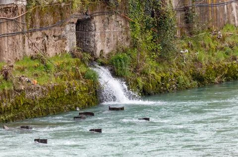 A stream of water flows down a hillside, with a few logs floating in the wate Stock Photos