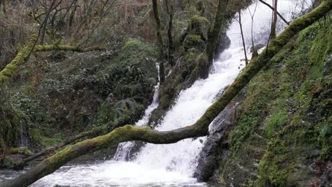 A stream of water flows down a rocky hillside. Pena del Encanto Stock Footage 296764171