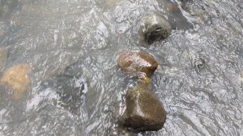 A stream of water that flows naturally in a small river Stock Footage 245704889