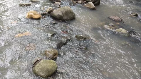 A stream of water that flows naturally in a small river Stock Footage 245704921