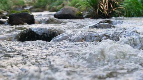 Stream of water flows over the natural stones in the forest with the morning sun Stock Footage 172390552