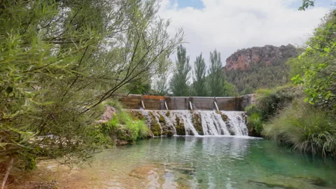 A stream of water flows over a rock, with a tree in the foreground Stock Footage 277410025
