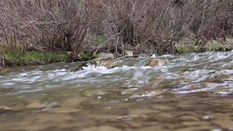 A stream of water flows in the river over the stones. Rapid stream of the river Video stock 153507175