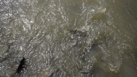 A stream of water flows in slow motion over the rocks of the river. Stock Footage 233030718
