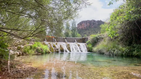 A stream of water flows through a forest Stock Footage 277409997