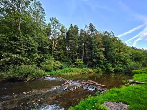 A stream of water flows through a forest Stock Photos