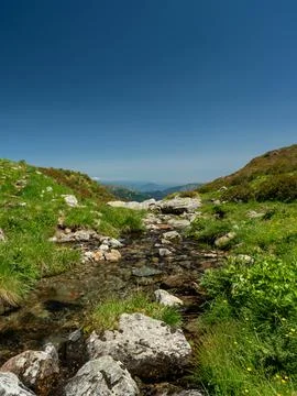 A stream of water flows through a rocky area with grass and flowers Stock Photos