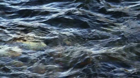 Stream water Stock Footage 924801