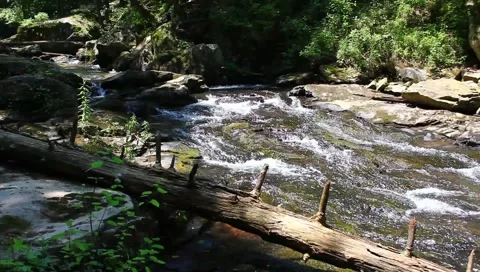 Stream of water Stock Footage 6217211