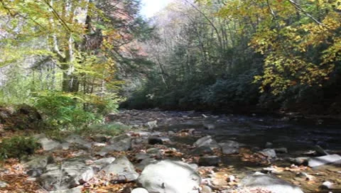 Stream of water Stock Footage 8869175