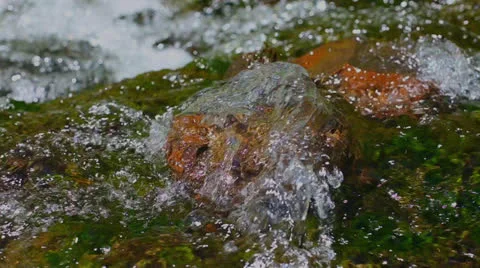 Stream Water Stock Footage 25681800
