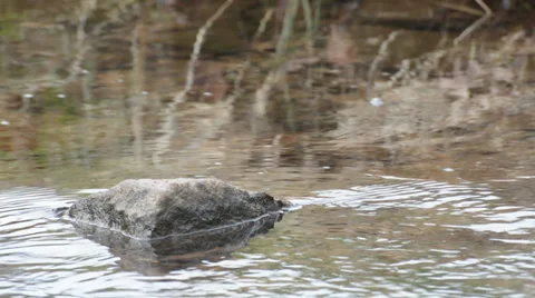 Stream of Water Stock Footage 33135298