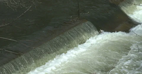 Stream of water Stock Footage 37782195