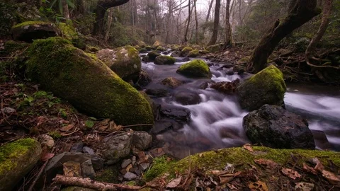 Stream water Stock Footage 83792877