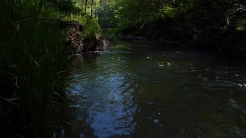 Up the stream water Stock Footage 89753266