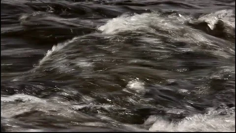 Stream water 스톡 동영상 102862027