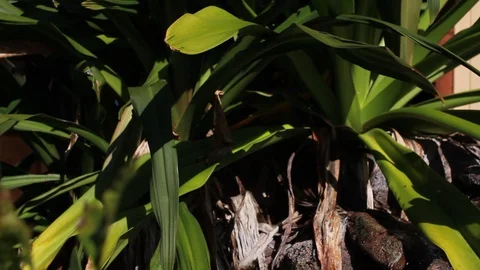 A Stream of Water Stock Footage 104705939