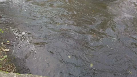 Stream of Water Stock Footage 164290957