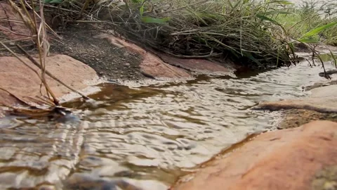 Stream of water 動画素材 183311683