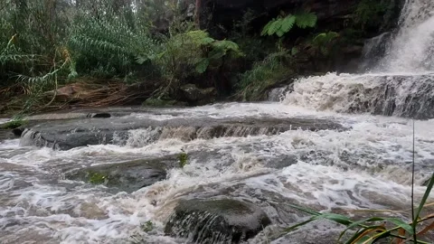 Stream of water Stock Footage 199738472