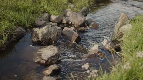 Stream water Stock Footage 280195392