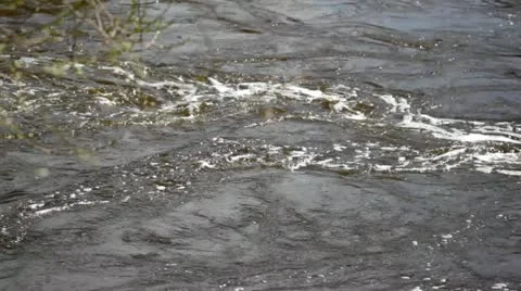 Stream of water in a forest. Stock Footage 11151114