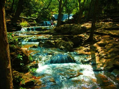 A stream of water in the forest Foto stock