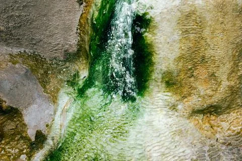 Stream of water with green algae flowing over mineral stone Stock Photos