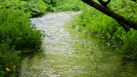 Stream water green meadow. Stock Footage 82902358