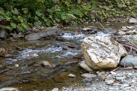 Stream of water mid October somewhere in Transylvania, Romania Stock Photos
