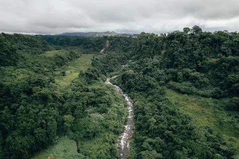 Stream of water in the middle of rain forest Stock Photos