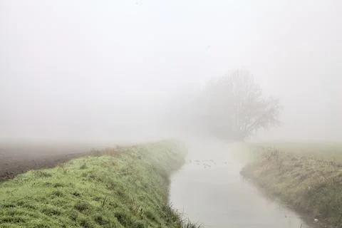 Stream of water in the middle of two fields with bare trees in the fog Stock Photos