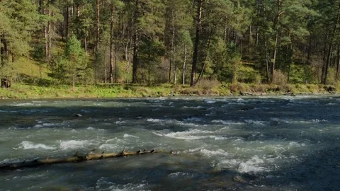Stream of water in a mountain river, view from the shore. Stock Footage 304722652
