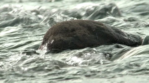 Stream of water in a mountain stream Video stock 118805036