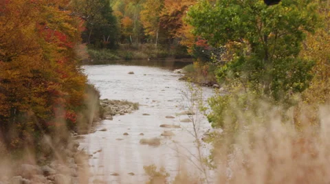 A stream of water moving through Autumn trees Stock Footage 47575950
